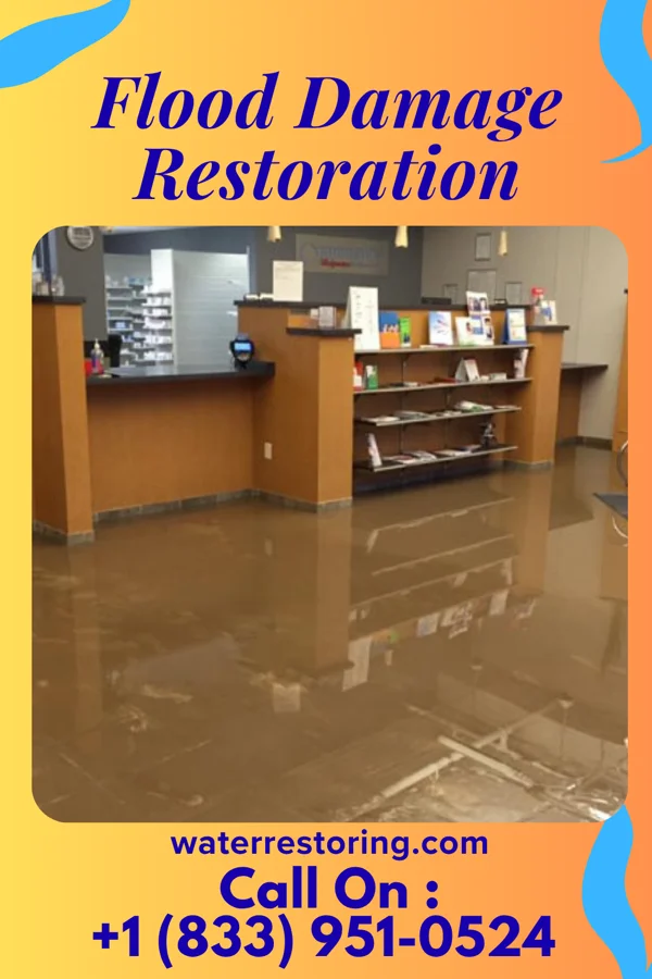 Flood Damage Restoration in Port Leyden, NY