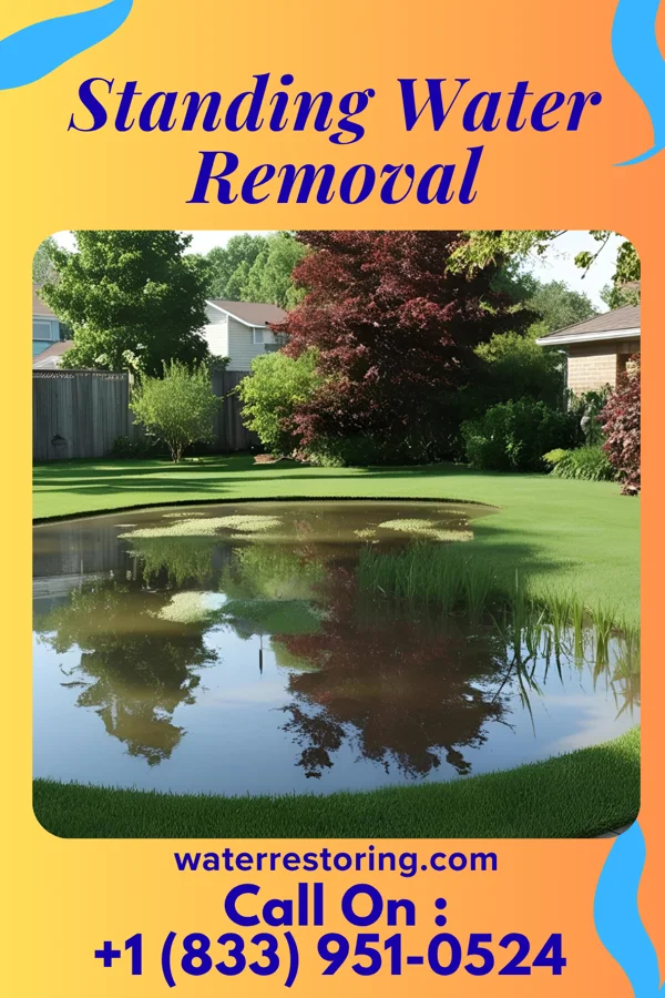 Standing Water Removal in Port Leyden, NY